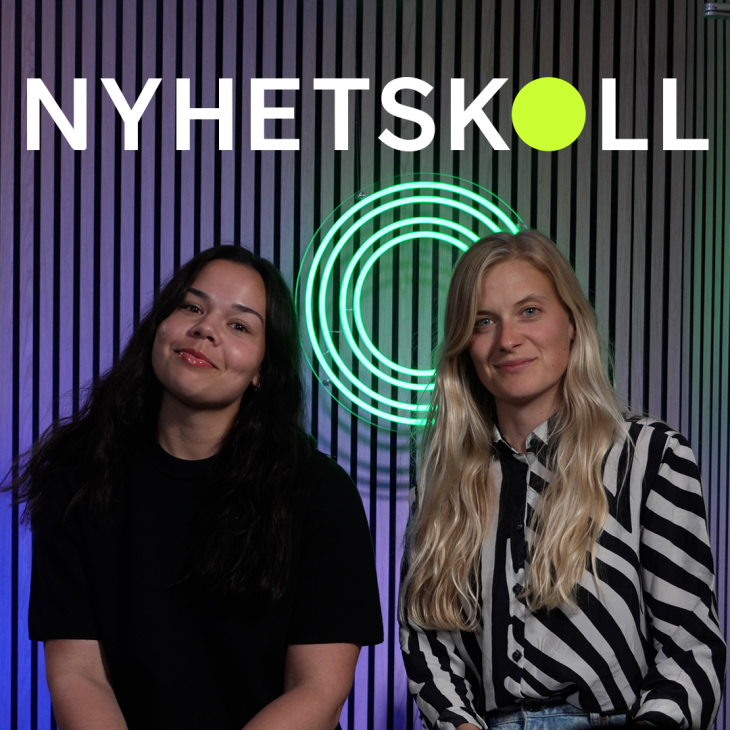 Nyhetskoll journalists